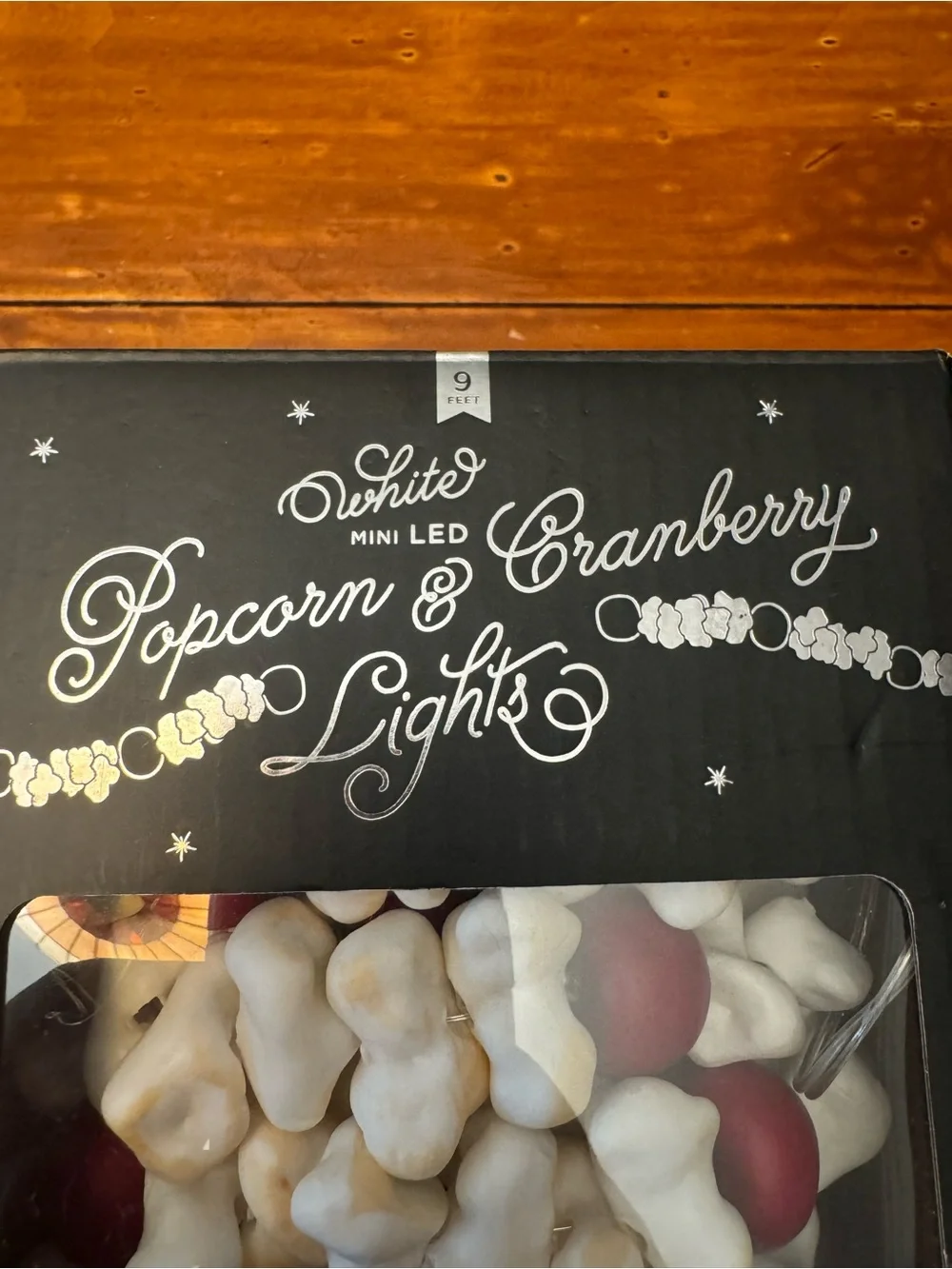 Pottery Barn Popcorn and Cranberry Lights Battery Powered 9 feet Christmas Decor